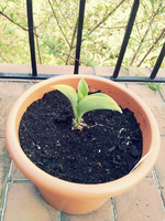 20120419183546.webp
