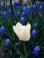 20120419184440.webp