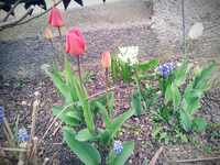 20120419184504.webp