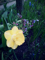 20120419184548.webp
