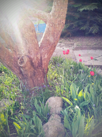 20120419184643.webp