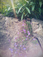20120419184809.webp