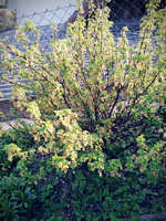 20120419185226.webp