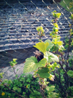 20120419185241.webp