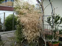 BILD0012.webp