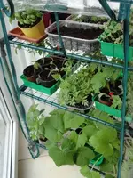 Babystation.webp