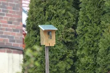 IMG_3727.webp