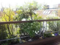 20120419_132216.webp