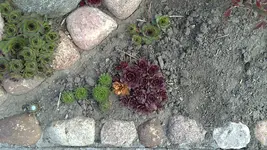 17042012557.webp