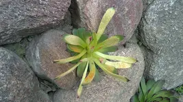 17042012558.webp