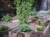 Poolbeet1.18.04.2012.webp