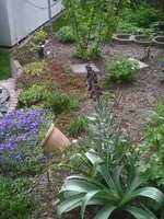 Poolbeet2.18.04.2012.webp