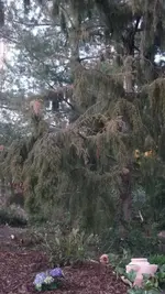 2012-März 035.webp