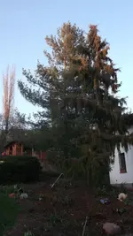 2012-März 037.webp
