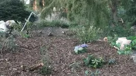 2012-März 036.webp