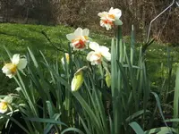 BILD1255.webp