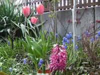 BILD1303.webp