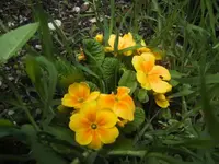 BILD1304.webp