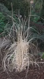2012-März 043.webp