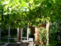 Wein3.webp