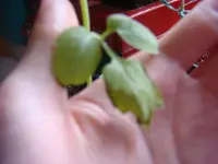 DSC01235.webp