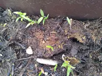 20120421_165900.webp