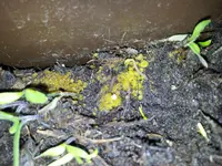 20120421_165908.webp