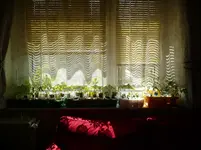 P1060082.webp