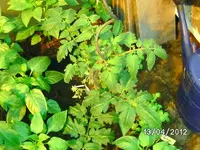 k-BILD0742.webp