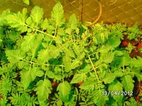 k-BILD0744.webp k-BILD0744.webp