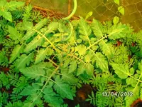 k-BILD0745.webp k-BILD0745.webp