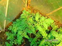 k-BILD0746.webp k-BILD0746.webp