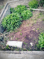 20120419185356.webp