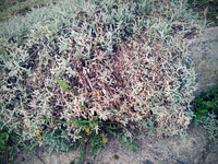 20120419185405.webp