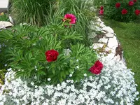 100_5883.webp