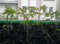 22042012205.webp