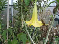 IMGP5067.webp