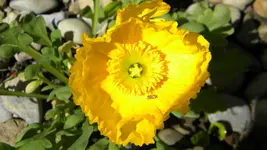 DSCN2132.webp