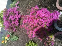 Foto.webp