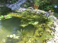 BILD0092.webp