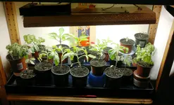 Lichtstation (2).webp