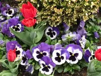 002.webp