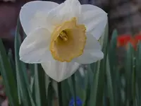 k-P4210807.webp