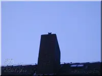 9mrud8qjgwmo.webp