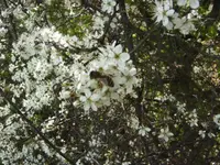 BILD1312.webp