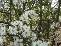 BILD1313.webp
