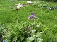 BILD1292.webp