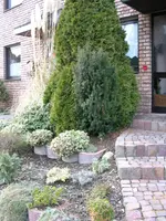 DSCN3099.webp