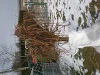 P2200043.webp