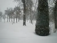 IMGP0931.webp